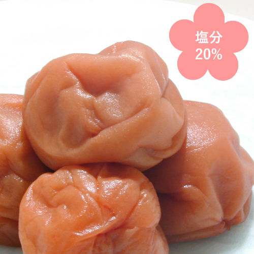 紀州南高梅　白干