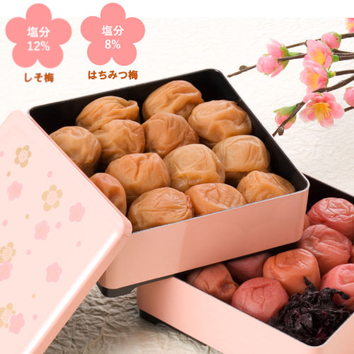 紀州南高梅 ～雅～