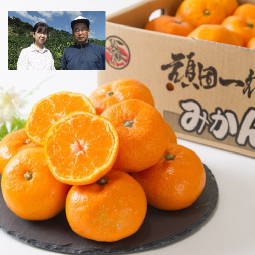 頑固一徹みかん