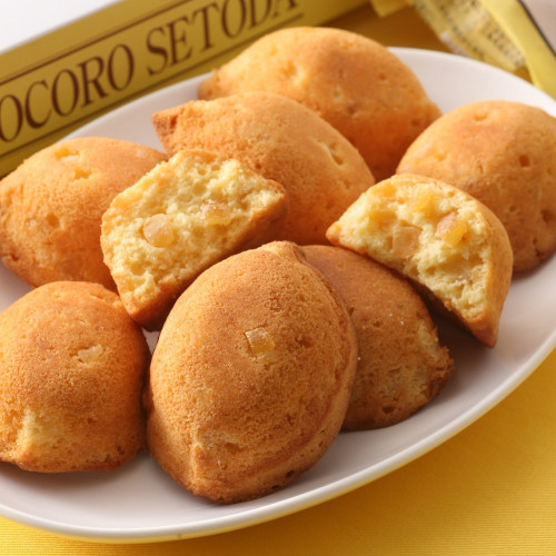 瀬戸田レモンケーキ　島ごころ