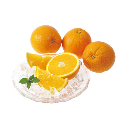 せとだネーブル　L・M混合