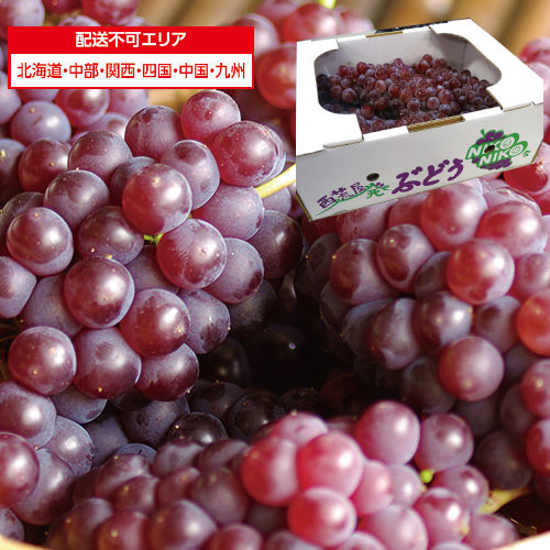 【山形県産】デラウェア