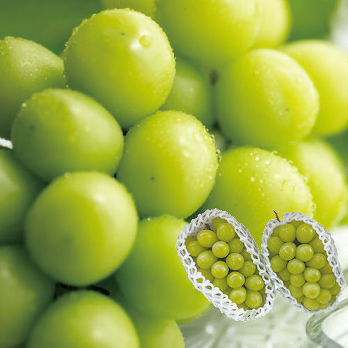 【山形県産】芳醇の宝石 シャインマスカット